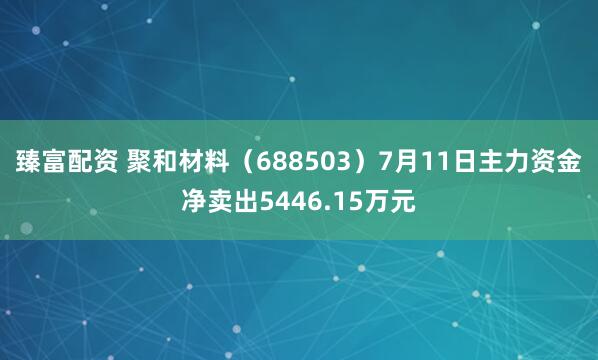 臻富配资 聚和材料（688503）7月11日主力资金净卖出5446.15万元