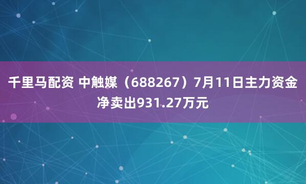 千里马配资 中触媒（688267）7月11日主力资金净卖出931.27万元