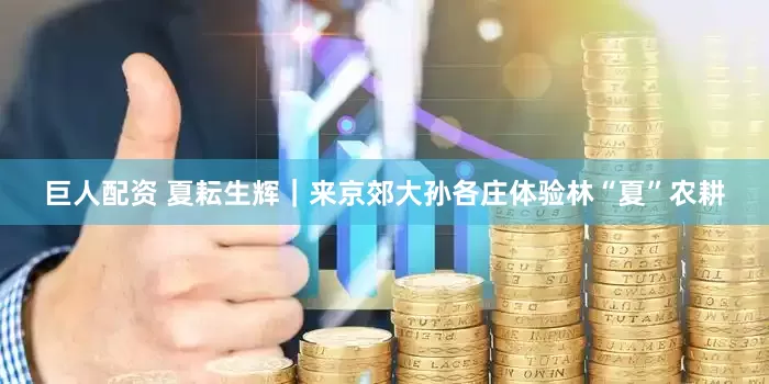 巨人配资 夏耘生辉｜来京郊大孙各庄体验林“夏”农耕