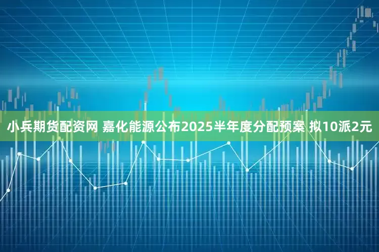 小兵期货配资网 嘉化能源公布2025半年度分配预案 拟10派2元